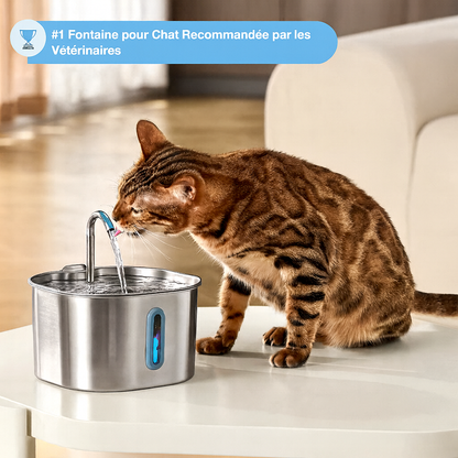 ZooPatt™ Fontaine à Eau pour Chat