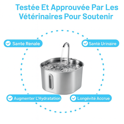 ZooPatt™ Fontaine à Eau pour Chat